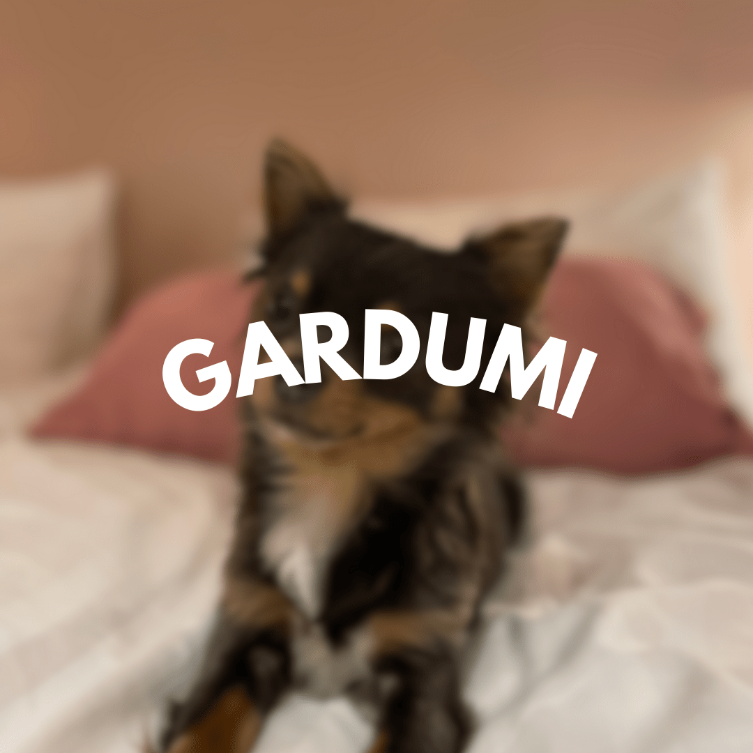 Gardumi