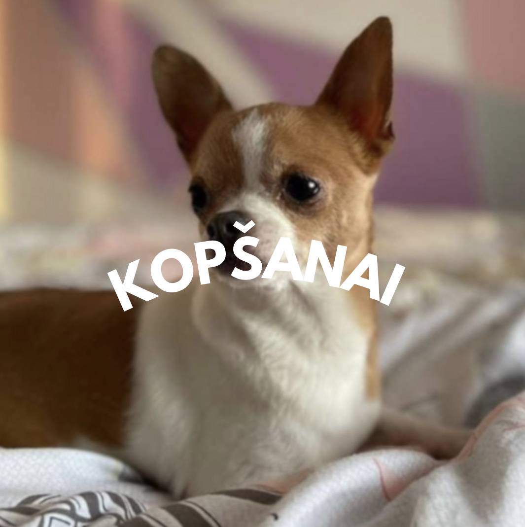 kopšanai