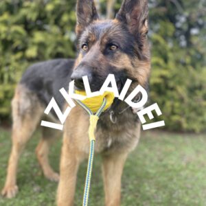Izklaidei