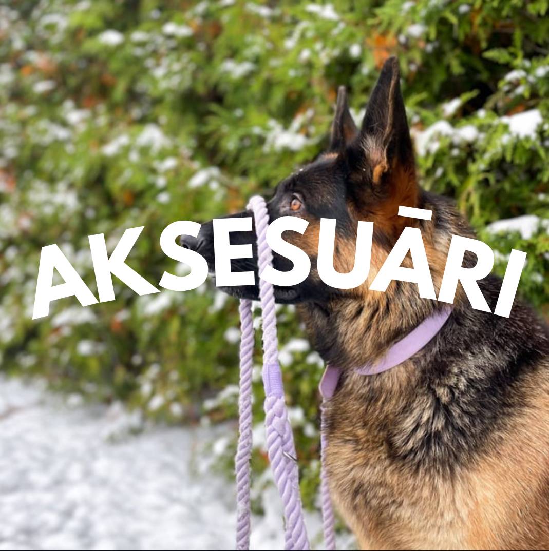 Aksesuāri